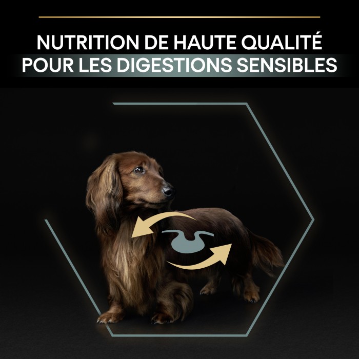Alimentation pour chien - PRO PLAN Sensitive Digestion No Grain Small & Mini Adult à la Dinde - Croquettes pour chien pour chiens