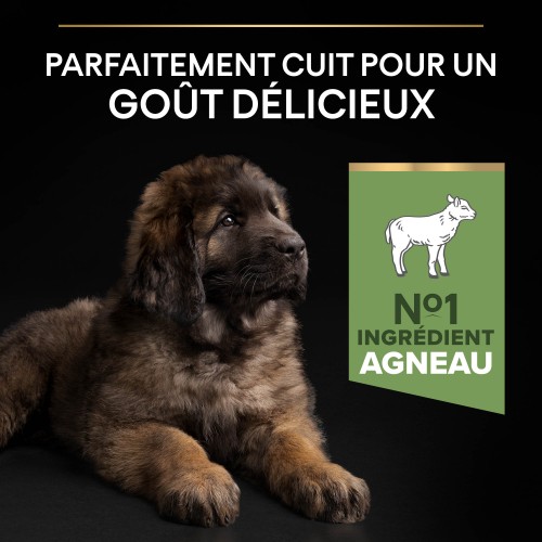 Alimentation pour chien - PRO PLAN Sensitive Digestion Large Robust Puppy à la Agneau- Croquettes pour chien pour chiens