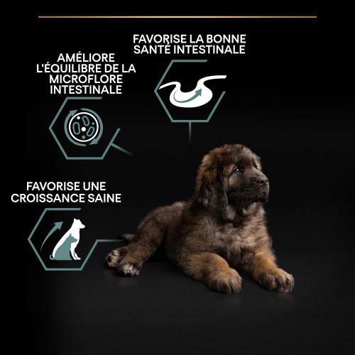 Alimentation pour chien - PRO PLAN Sensitive Digestion Large Robust Puppy à la Agneau- Croquettes pour chien pour chiens