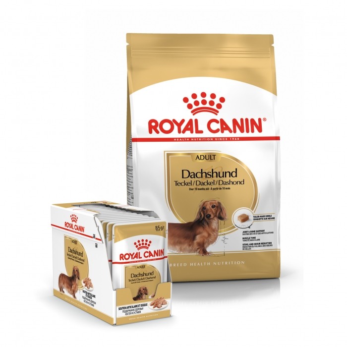 Alimentation pour chien - Royal Canin Teckel Adult (Dachshund) - Croquettes pour chien pour chiens