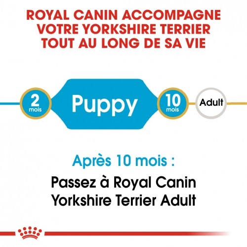 Alimentation pour chien - Royal Canin Yorkshire Terrier Puppy - Croquettes pour chiot pour chiens
