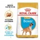Alimentation pour chien - Royal Canin Boxer Puppy - Croquettes pour chiot pour chiens