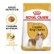 Alimentation pour chien - Royal Canin Cavalier King Charles Adult - Croquettes pour chien pour chiens