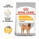 Alimentation pour chien - Royal Canin Medium Dermaconfort pour chiens