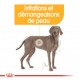 Alimentation pour chien - Royal Canin Maxi Dermaconfort pour chiens
