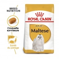 Croquettes pour chien - Royal Canin Bichon Maltais Adult Bichon Maltais (Maltese)