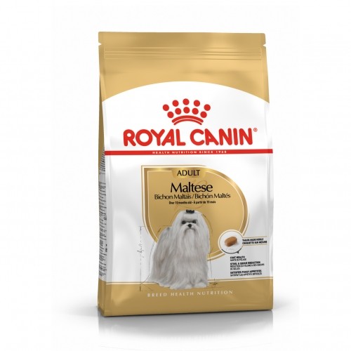 Alimentation pour chien - Royal Canin Bichon Maltais Adult pour chiens