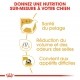 Alimentation pour chien - Royal Canin Bichon Maltais Adult pour chiens
