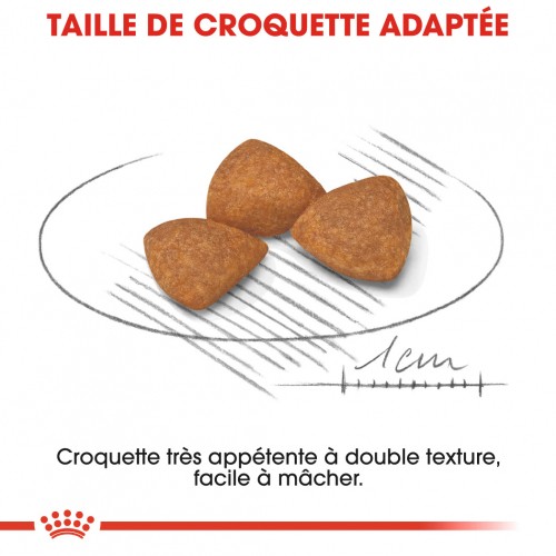 Alimentation pour chien - Royal Canin X-Small Ageing 12 pour chiens
