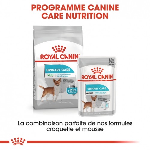 Alimentation pour chien - Royal Canin Mini Urinary Care - Croquettes pour chien pour chiens
