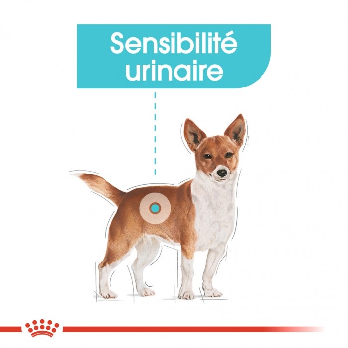 Alimentation pour chien - Royal Canin Mini Urinary Care - Croquettes pour chien pour chiens