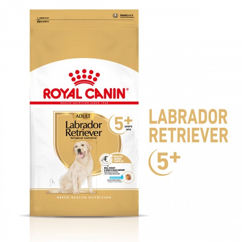 Alimentation pour chien - Royal Canin Labrador Retriever Adult 5+ - Croquettes pour chien pour chiens