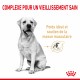 Alimentation pour chien - Royal Canin Labrador Retriever Adult 5+ - Croquettes pour chien pour chiens
