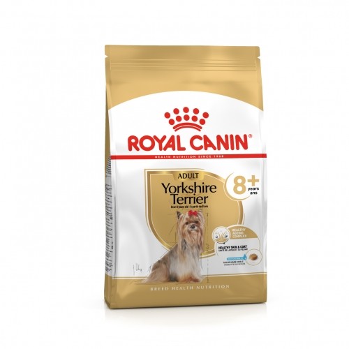 Alimentation pour chien - Royal Canin Yorkshire Terrier Adult 8+ - Croquettes pour chien pour chiens