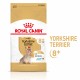 Boutique senior - Royal Canin Yorkshire Terrier Adult 8+ - Croquettes pour chien pour chiens