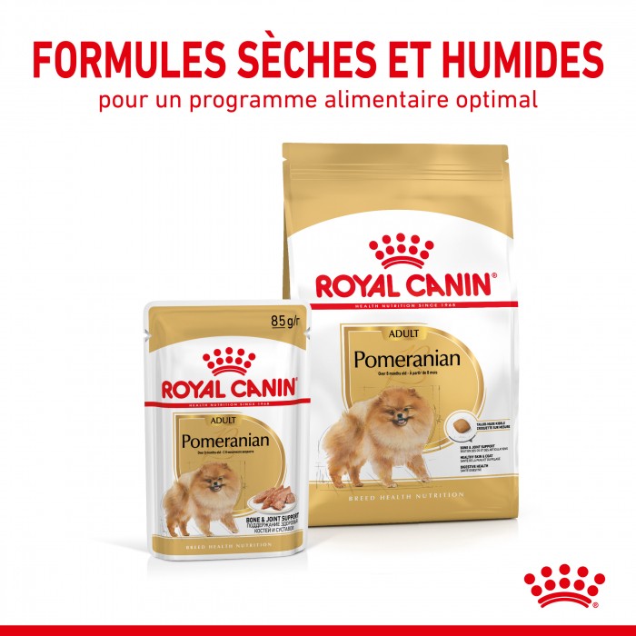 Alimentation pour chien - Royal Canin Pomeranian (Spitz Nain) Adult - Croquettes pour chien pour chiens