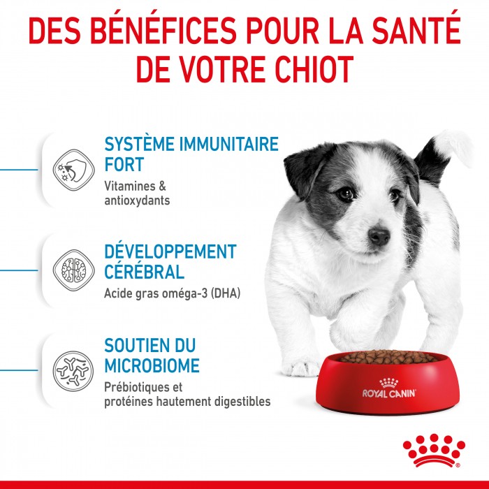 Alimentation pour chien - Royal Canin Mini Puppy - croquettes pour chiot pour chiens