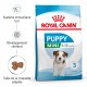 Alimentation pour chien - Royal Canin Mini Puppy - croquettes pour chiot pour chiens
