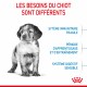 Alimentation pour chien - Royal Canin Medium Puppy - Croquettes pour chiot pour chiens