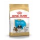 Alimentation pour chien - Royal Canin Shih Tzu Puppy - Croquettes pour chiot pour chiens