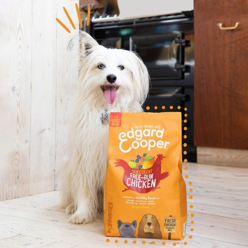 Alimentation pour chien - Edgard & Cooper croquettes succulent poulet pour chien pour chiens
