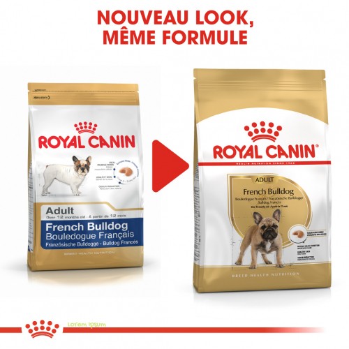 Alimentation pour chien - Royal Canin French Bulldog Adult - Croquettes pour chien pour chiens