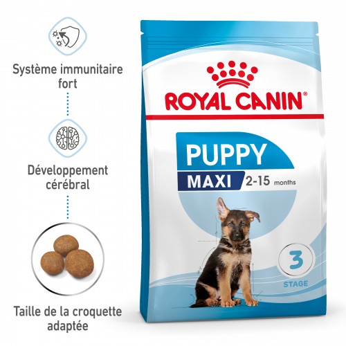 Alimentation pour chien - Royal Canin Maxi Puppy - Croquettes pour chiot pour chiens