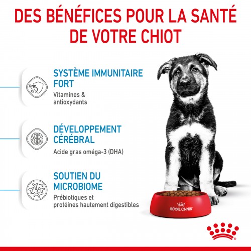 Alimentation pour chien - Royal Canin Maxi Puppy - Croquettes pour chiot pour chiens