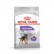 Alimentation pour chien - Royal Canin Mini Sterilised - Croquettes pour chien pour chiens