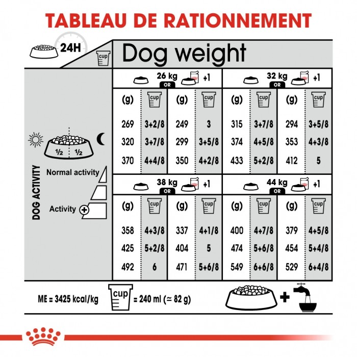 Alimentation pour chien - Royal Canin Maxi Sterilised - Croquettes pour chien pour chiens