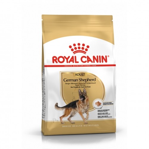 Alimentation pour chien - Royal Canin Berger Allemand Adult (German Shepherd) - Croquettes pour chien pour chiens