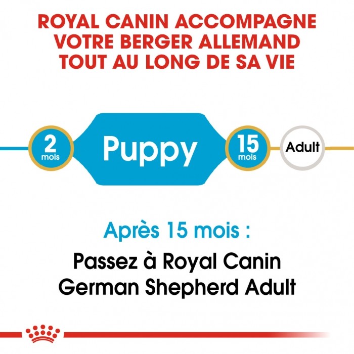 Alimentation pour chien - Royal Canin Berger Allemand Puppy  (German Shepherd) - Croquettes pour chiot pour chiens