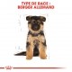 Alimentation pour chien - Royal Canin Berger Allemand Puppy  (German Shepherd) - Croquettes pour chiot pour chiens