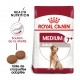 Alimentation pour chien - Royal Canin Medium Adult 7+ - Croquettes pour chien pour chiens