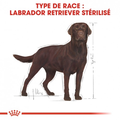 Alimentation pour chien - Royal Canin Labrador Retriever Sterilised Adult - Croquettes pour chien pour chiens