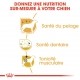 Alimentation pour chien - Royal Canin Caniche Adult (Poodle) - Croquettes pour chien pour chiens