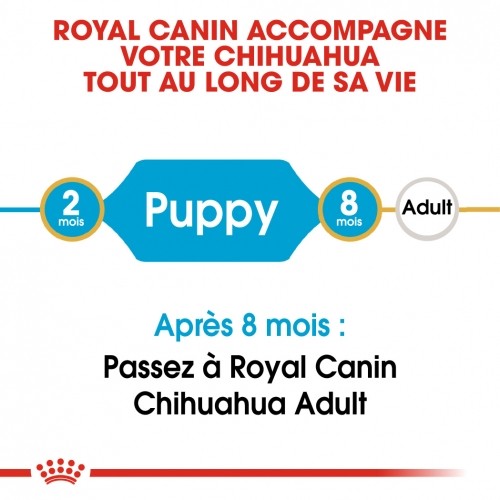 Alimentation pour chien - Royal Canin Chihuahua Puppy - Croquettes pour chiot pour chiens