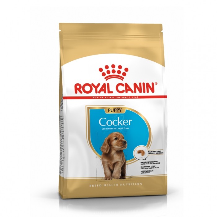 Alimentation pour chien - Royal Canin Cocker Puppy pour chiens