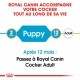 Alimentation pour chien - Royal Canin Cocker Puppy pour chiens