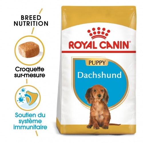 Alimentation pour chien - Royal Canin Teckel Puppy (Dachshund) pour chiens