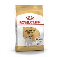 Croquettes pour chien - Royal Canin Jack Russell Adult - Croquettes pour chien Jack Russell Adulte