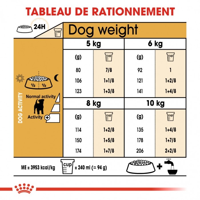 Alimentation pour chien - Royal Canin Jack Russell Adult - Croquettes pour chien pour chiens