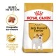 Alimentation pour chien - Royal Canin Jack Russell Adult - Croquettes pour chien pour chiens
