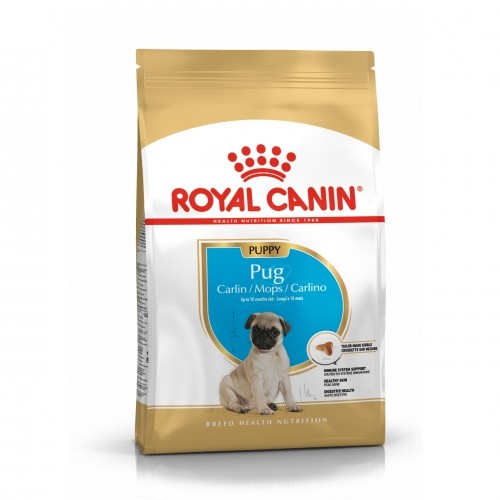 Alimentation pour chien - Royal Canin Carlin Puppy (Pug) pour chiens