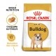 Alimentation pour chien - ROYAL CANIN Bulldog Adult (Boulldog Anglais) - Croquettes pour chien pour chiens