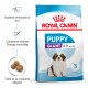 Alimentation pour chien - Royal Canin Giant Puppy - Croquettes pour chiot pour chiens