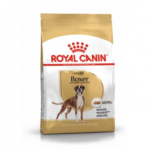 Alimentation pour chien - Royal Canin Boxer Adult - Croquettes pour chien pour chiens