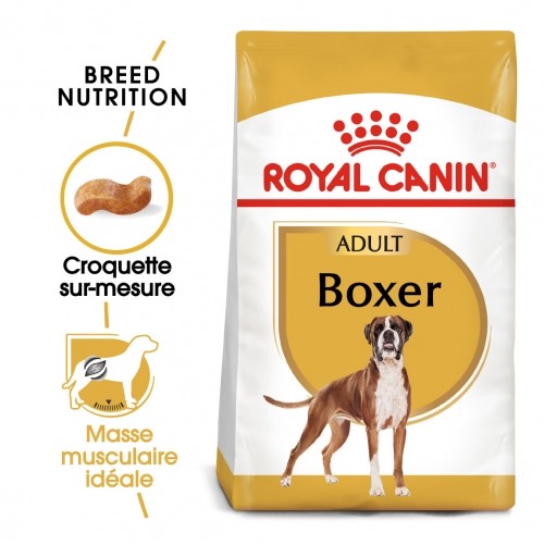 Alimentation pour chien - Royal Canin Boxer Adult - Croquettes pour chien pour chiens