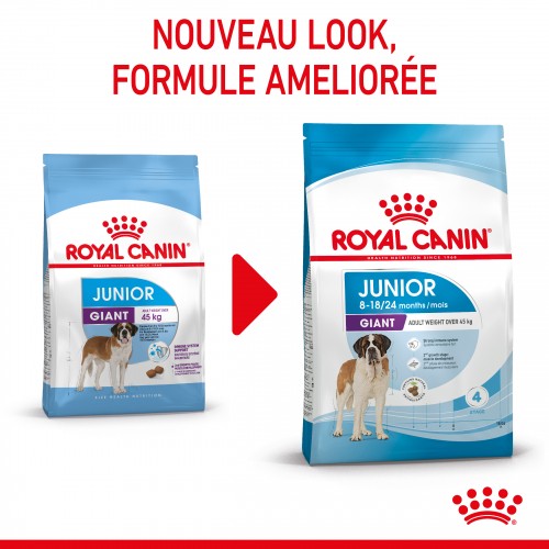 Alimentation pour chien - Royal Canin Giant Junior - Croquettes pour chiot pour chiens