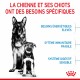 Alimentation pour chien - ROYAL CANIN Starter Maxi Mother & Babydog - Croquettes pour chiot pour chiens